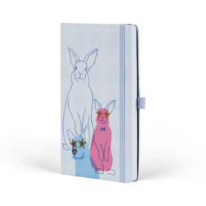 <br>RABBIT
